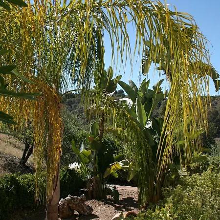 Finca Tranquila *